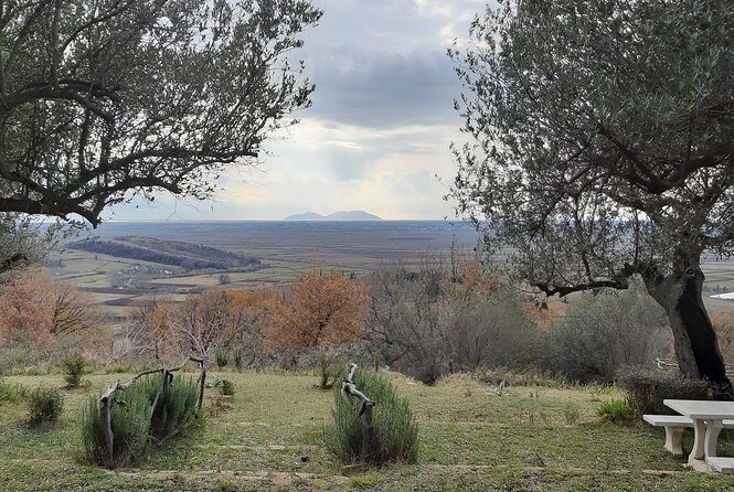 1001 Windows of Berat & Golden Sunset in Apollonia - Price and logistics: what $126.16 buys you in real time