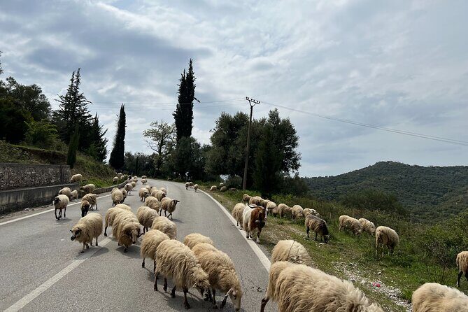 2 Day Tour of the Riviera, Gjirokastra UNESCO city and Blue Eye, - Should You Book This 2-Day Riviera and UNESCO Loop?
