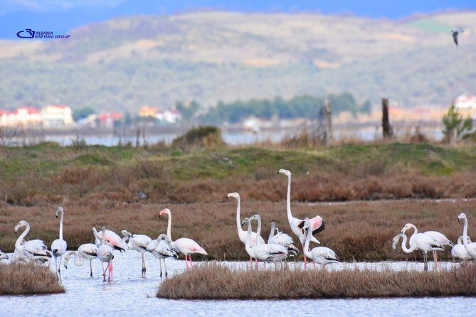 Albania Birdwatching, Kayaking, Bicycle National Park Divjaka Karavasta(ARG) - Optional bike and SUV lagoon add-ons: when you want more time