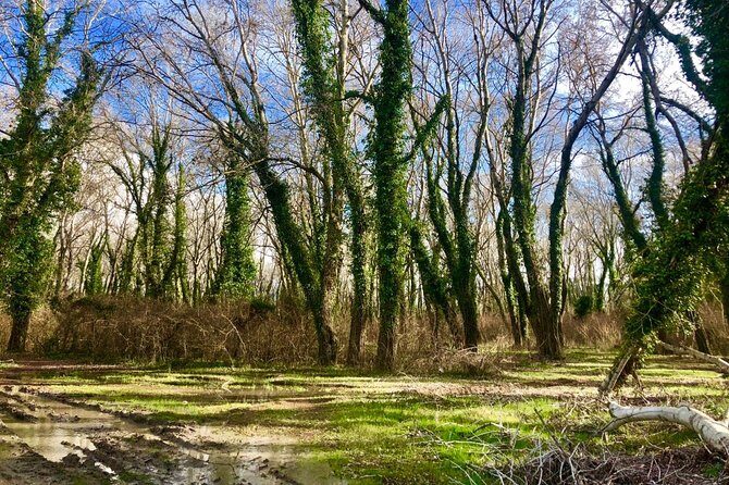 Albania Birdwatching, Kayaking, Bicycle National Park Divjaka Karavasta(ARG) - Difficulty 2/5: what it means for your day