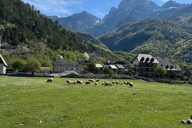 Albanian Alps and Theth Village Day Tour from Tirana - The Blue Eye hike: the 2.5 km effort and how it feels on the ground