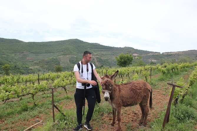 Albanian Highlights - UNESCO sites ,Nature and Food tour - Key highlights to look for