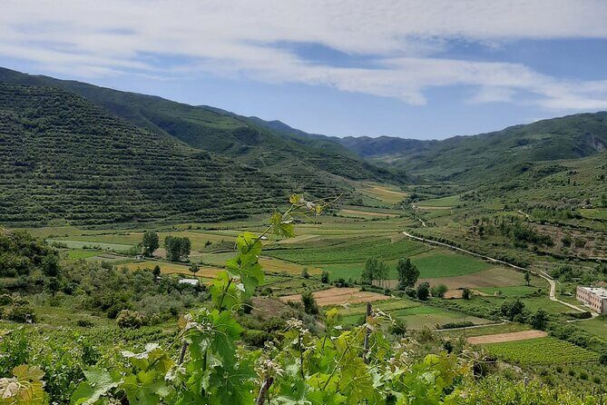 Berat 4x4 Off-Road and Vineyard Wine Tasting - Key highlights you’ll care about