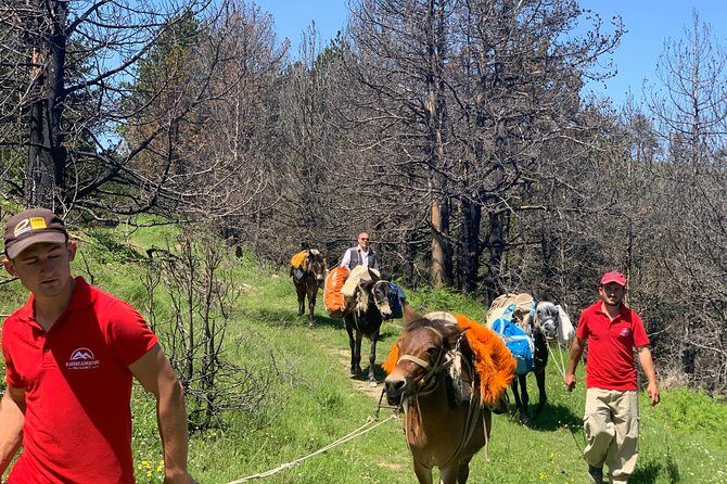 Berat Hiking Off Road picnic lunch in Tomori Holy Mount - Getting to Qafe Dardhe: the off-road start from Berat