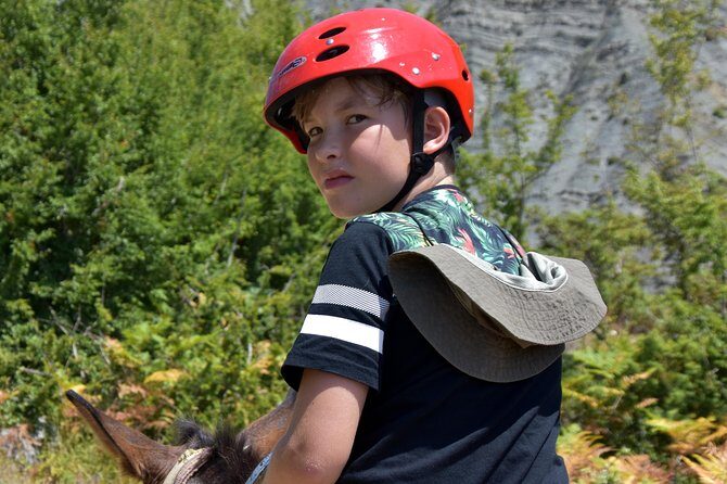 Berat Hiking Off Road picnic lunch in Tomori Holy Mount - Meet the shepherds and ride mules for about two hours