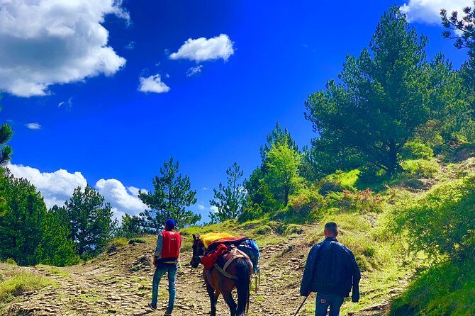 Berat Hiking Off Road picnic lunch in Tomori Holy Mount - Picnic lunch on the mountain: local products, simple and filling