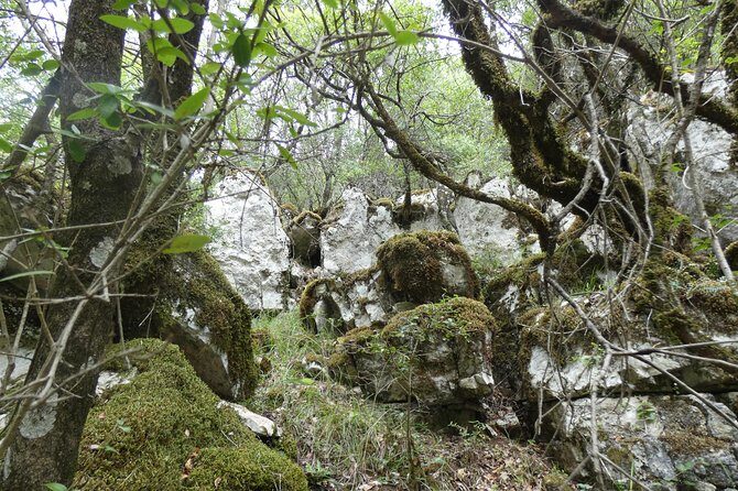 BOGOVA WATERFALL & WINERY TOUR from Berat by 1001 AA - Timing, food snacks, and the small-group vibe