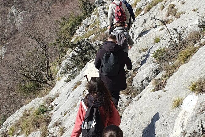 Bovilla lake Hiking Experience - How the private-group setup changes your experience