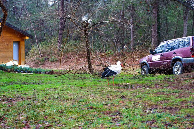 Day Tour of Berat and Karavasta Lagoon from Tirana&Durres - The Day’s Timing: How to Make the Most of an 8:30 Start