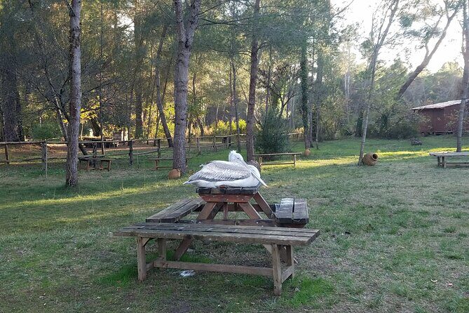 Day Tour of Berat and Karavasta Lagoon from Tirana&Durres - Guides and the Human Side of the Experience