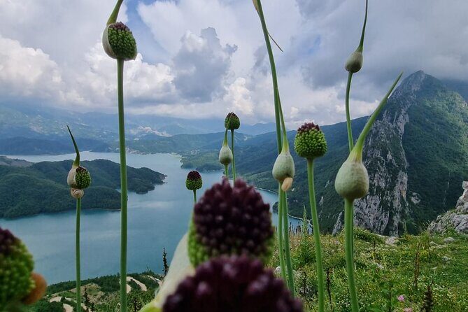 Hiking to Gamti, Bovilla Lake and Kruja Day Trip from Tirana - Price and value: $43.54 that makes sense if you plan for lunch