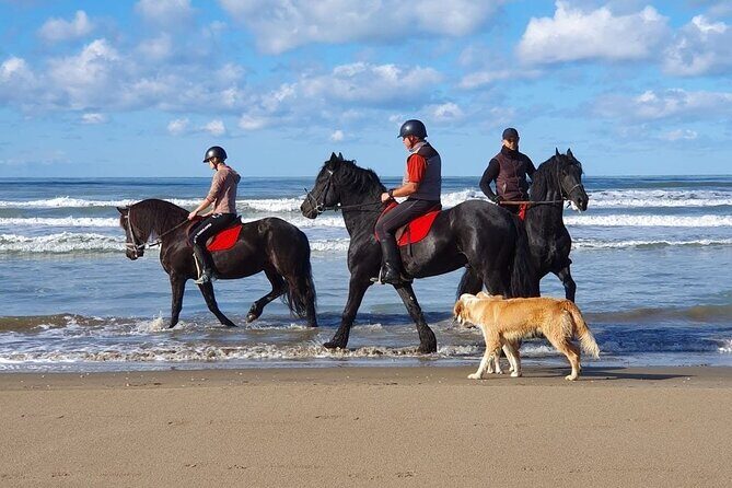 Horseback Riding Adventure in Durrës for Experienced Riders - Durres Ride Time: Meadows, Forest, and Beach Views