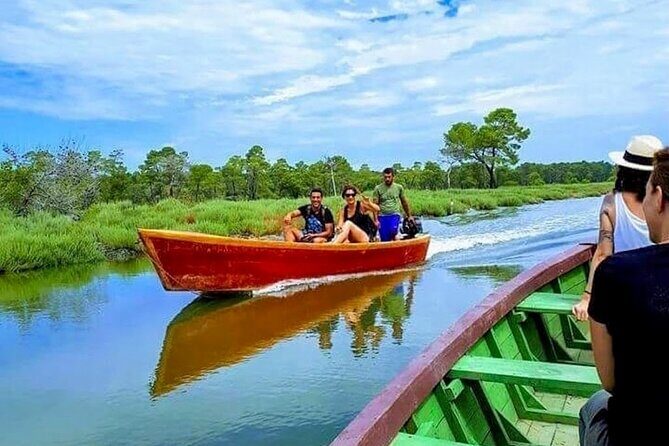 Karavasta Lagoon Adventure: Boat & Wildlife Tour from Durrës - Getting from Durrës to Karavasta Lagoon: pickup, ride comfort, and pacing