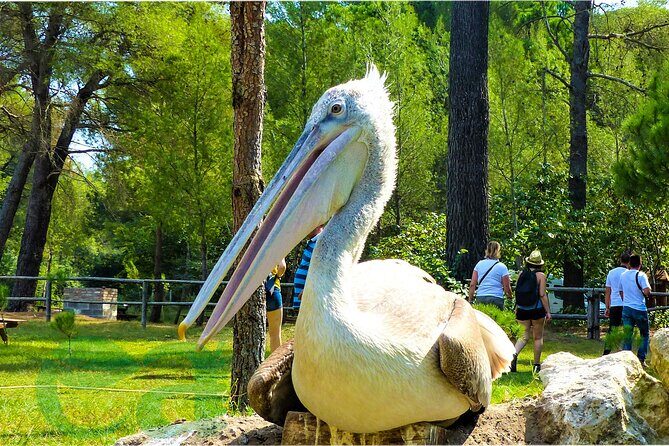 Karavasta Lagoon Adventure: Boat & Wildlife Tour from Durrës - Divjaka Visitor Center: conservation info with real-world species focus