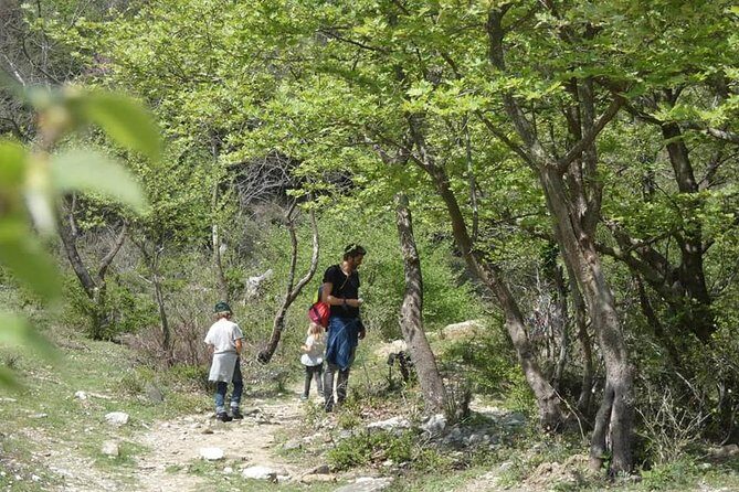 Osumi Canyons and Bogova Waterfall from Berat - Tour by 1001 Albanian Adventures - Your lunch strategy: simple, local, and optional