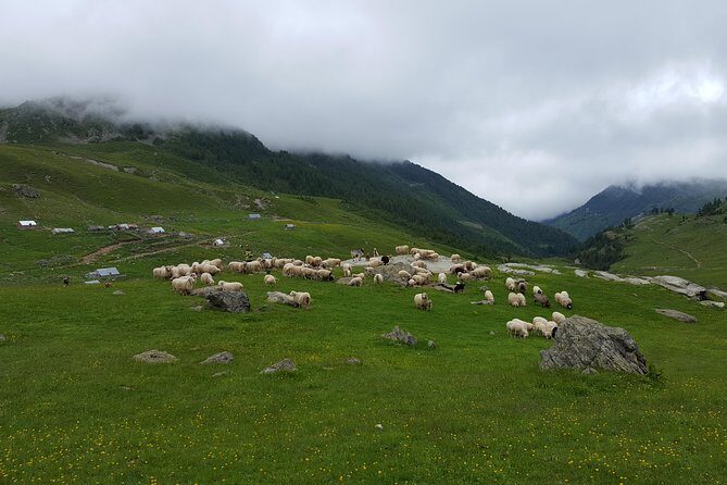 Peaks of the Balkans - 8 Days Tour - Valbona Valley: where the hikes start feeling real