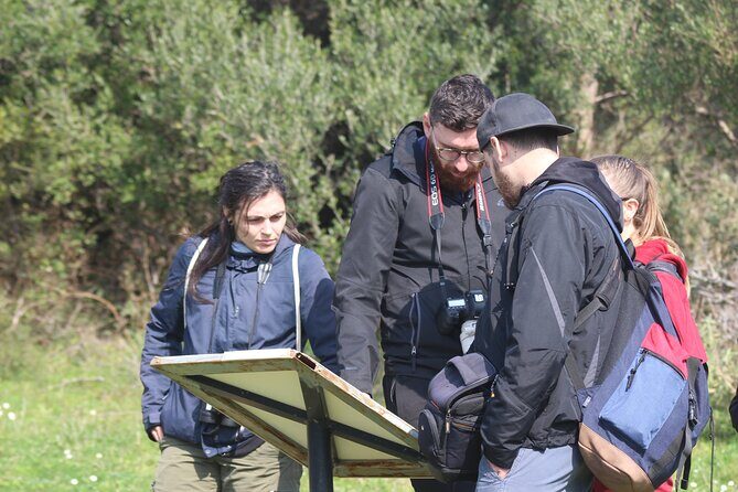 Private Birding Tour in Albania - Birding with AOS: field learning, not a car tour