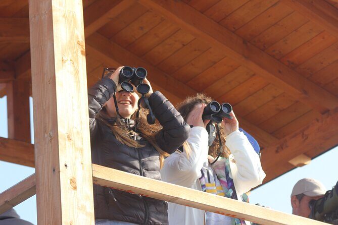 Private Birding Tour in Albania - Optical tools: binoculars and spotting scopes that actually matter