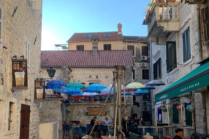 Private Day Tour of Montenegro , Budva and Kotor from Tirana - The Big Driver of Comfort: How the Vehicle and Timing Work