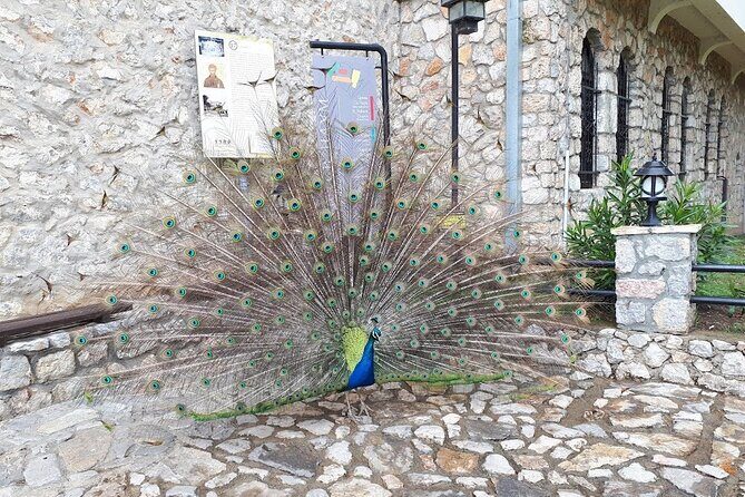 Private Full-Day Historical Day Tour in North Macedonia and Albania - Stop 2: Ohrid’s old town on foot, from paper workshop to Lake views