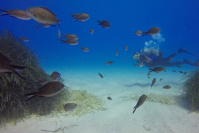Scuba Diving in MIG-21 wreck - MiG-21 wreck at Drymades: why this site feels accessible