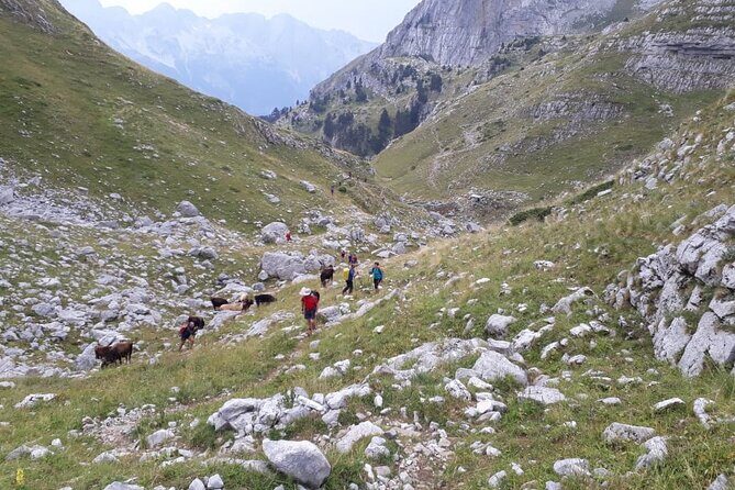 Self - Guided Peaks of the Balkans tour in 7 days - Day 4 to Cerem: canyon-like walking, near-snow terrain, and the Zla Kolate option