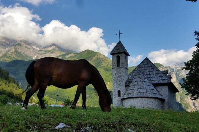 Semi-Private Hiking Tour; Peaks of the Balkans in 10 days - Day 1: Tirana pickup, Tamarë trail views, then Lëpushë meadows
