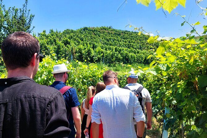 Vineyards, Albanian Wine Tasting & Boat Tour from Tirana/Durres - Key highlights to know before you go