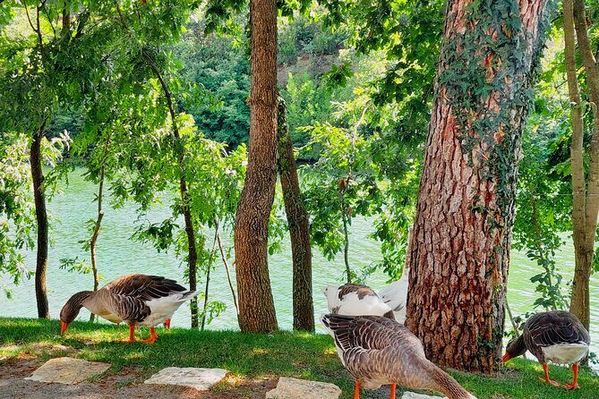 Vineyards, Albanian Wine Tasting & Boat Tour from Tirana/Durres - Should You Book This Wine Tasting & Boat Tour?