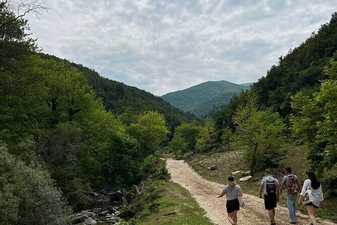 Waterfalls and wine flows - Bogova waterfall and Alpeta Winery Winetasting tour - Alpeta Winery tasting: local bites and family storytelling