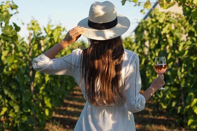 Wine Tasting & Vineyards Escape near Tirana - Key highlights worth aiming for