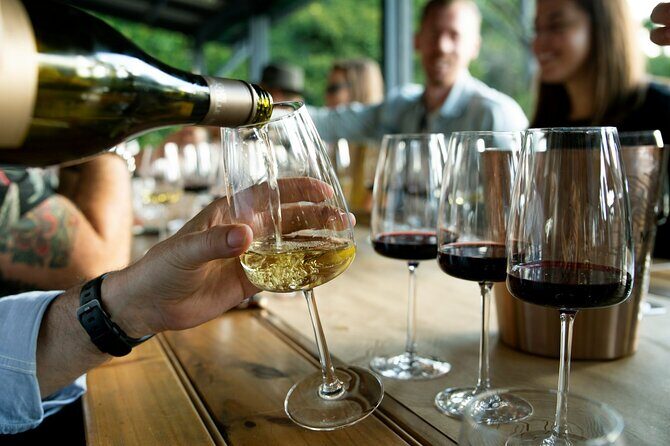 Wine Tasting & Vineyards Escape near Tirana - Stop 3: A Leisurely Stroll and the Return Downhill to Tirana