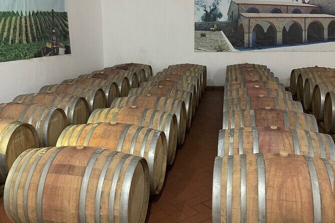 Wine Tasting & Vineyards Escape near Tirana - Price and Value: What $118.58 Buys You (and What It Doesn’t)