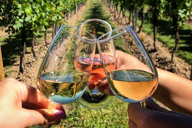 Wine Tasting & Vineyards Escape near Tirana - Small-Group Dynamics: Why Up to 15 People Changes the Whole Experience