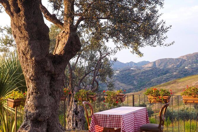 Wine Tasting & Vineyards Escape near Tirana - Who This Tour Suits Best (and Who Might Want Another Style)