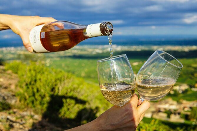 Wine Tasting & Vineyards Escape near Tirana - At the Winery: Vineyard Walk, Grapes You’ll Remember, and a Real Cellar Tour